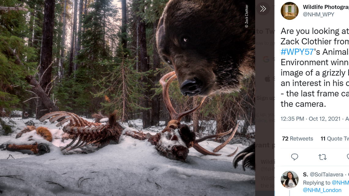 Zack Clothier received a 2021 Wildlife Photographer of the Year Award for an image of a grizzly bear that knocked his camera over.