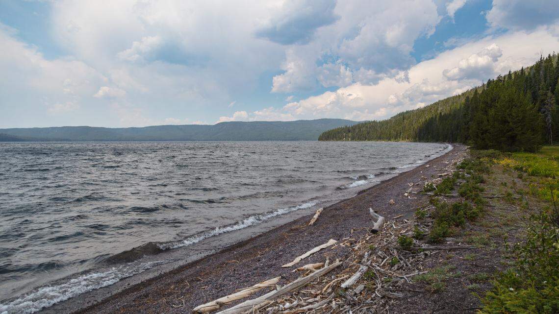 A missing Washington man was found along the shore of Shoshone Lake in Yellowstone National Park, officials said.
