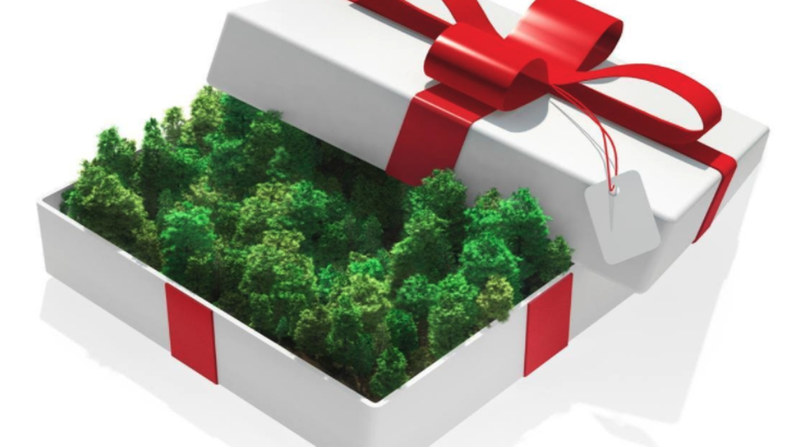 Black Friday 2021: Check out all the hottest deals on Amazon today only