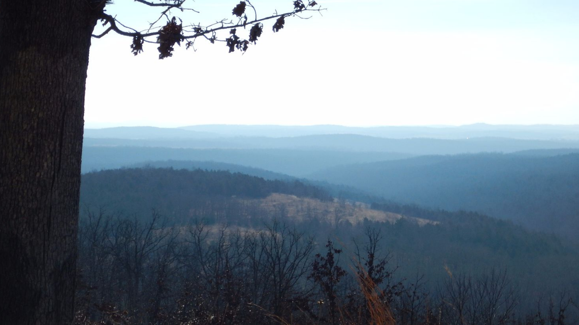 A Missouri man was sentenced to over 12 years in prison for reportedly setting forest fires to evade police capture, federal officials said.