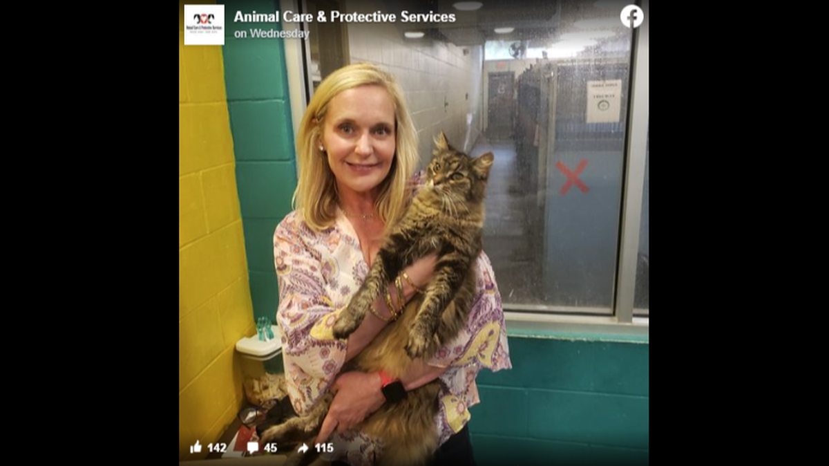 Derek’s owner, Angela Green, called the shelter almost immediately after hearing Derek was there.