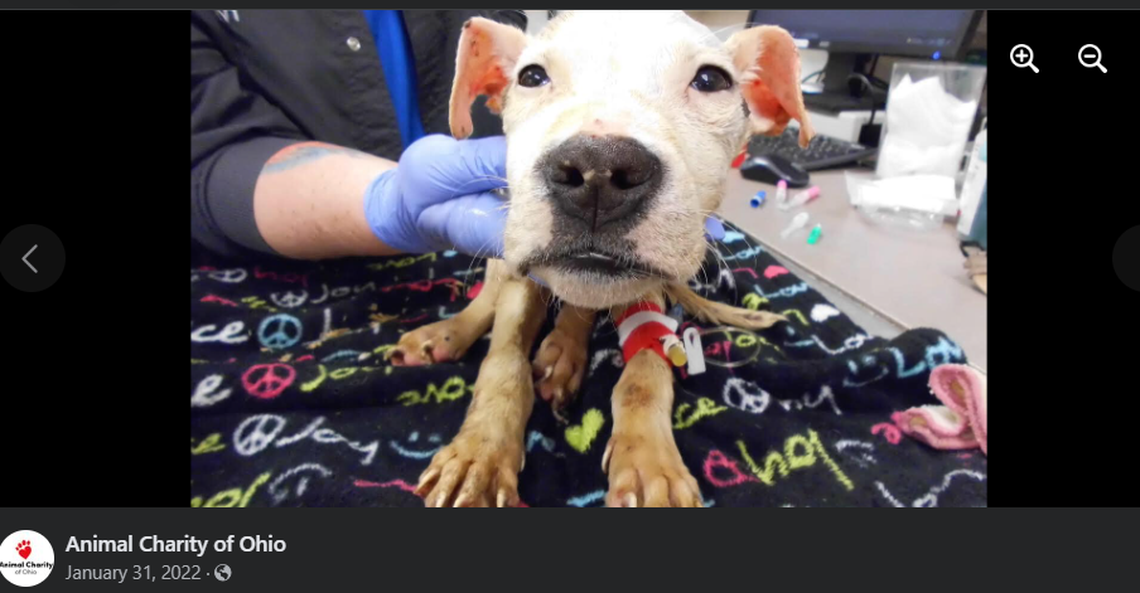 Xavier is treated after being rescued.