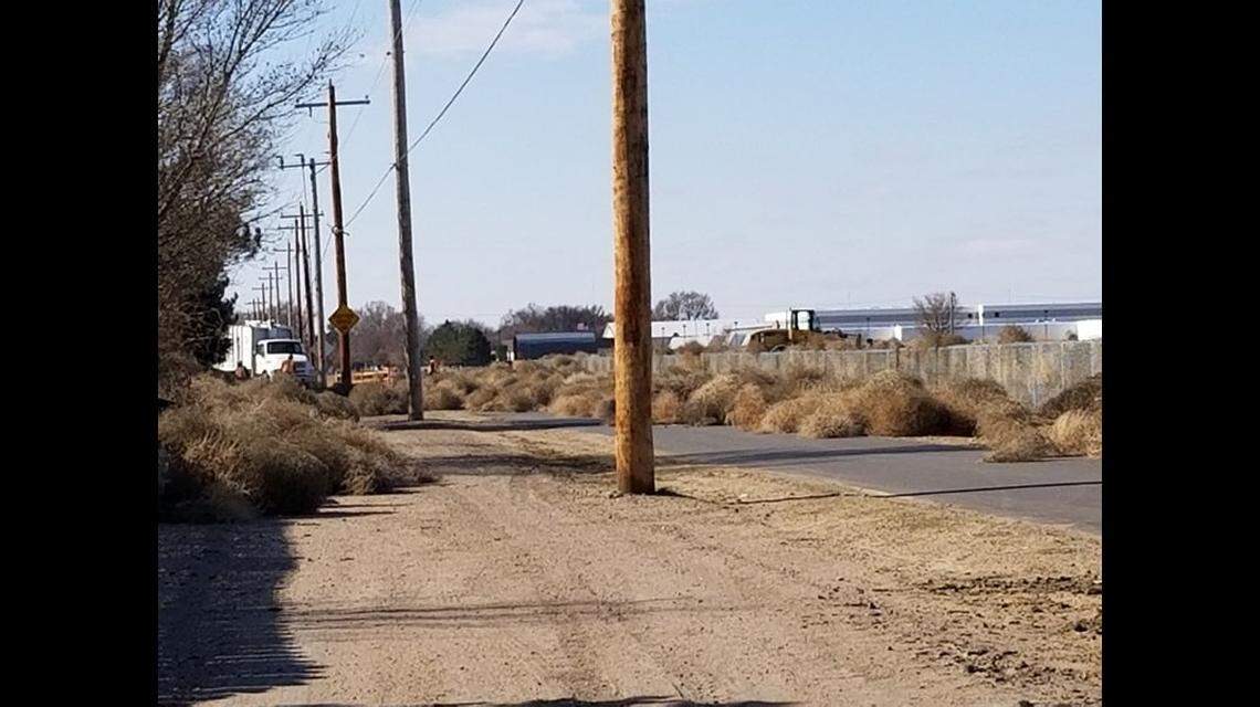 Hundreds of tumbleweeds blew across roads, blocking traffic from getting through in Garden City, Kansas. Photo from Carmen Morillo Hickman.