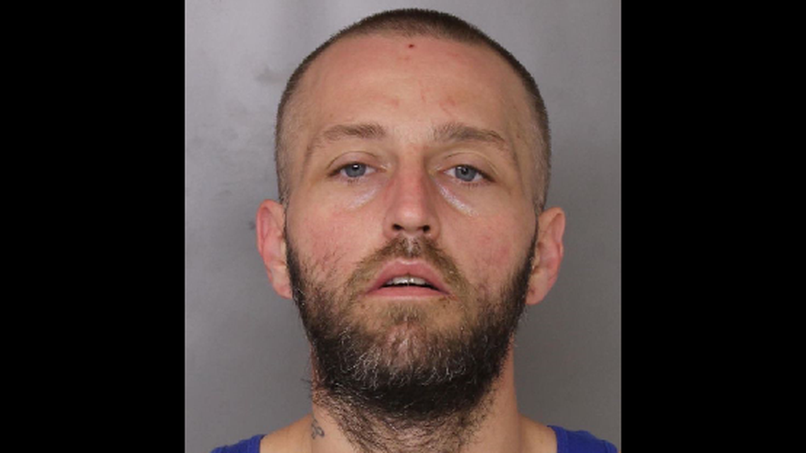 Ryan McGuire, 32, faces two counts of first-degree murder and two counts of second-degree murder in connection with his stepmother and her neighbor's deaths in Baltimore County, Maryland, police announced Wednesday.