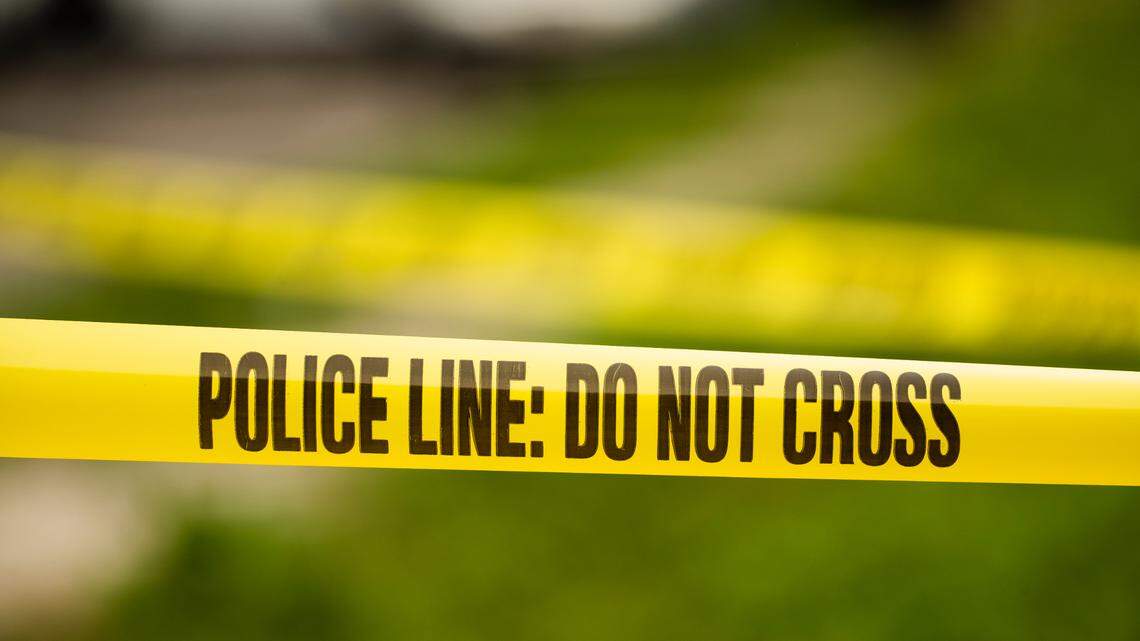 A driver trapped an officer in his vehicle during a traffic stop and sped toward a pole, Florida police say.