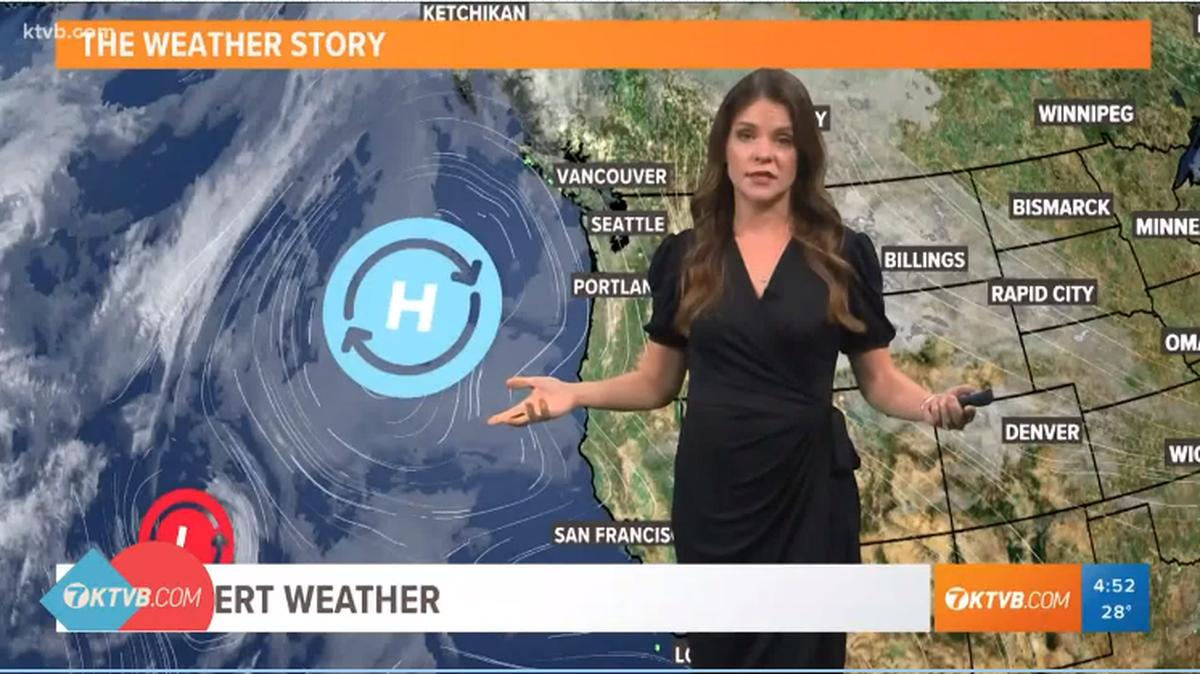 Meteorologist Bri Eggers wore the same dress on air for 10 days.