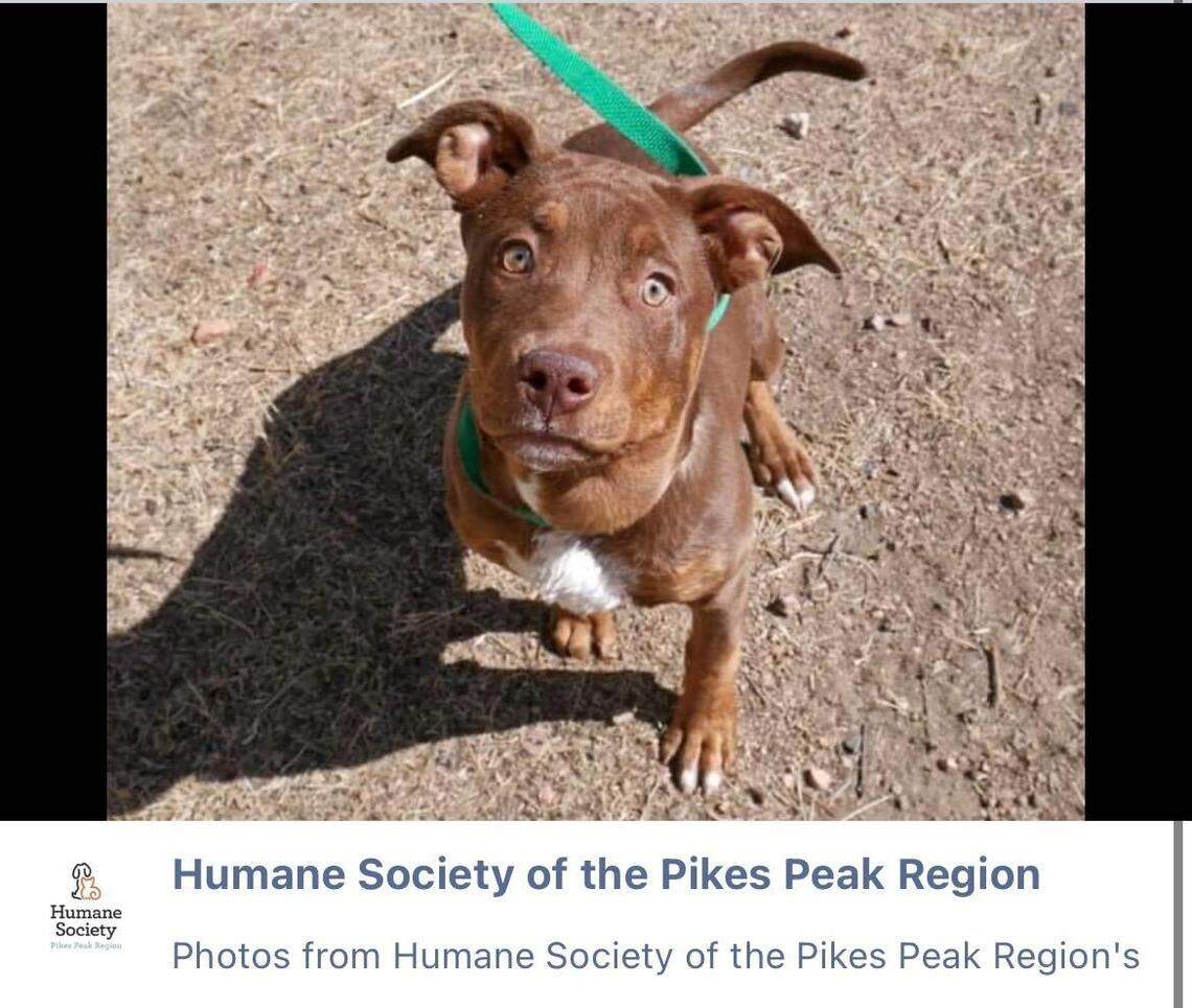 Baby Girl is recovering.