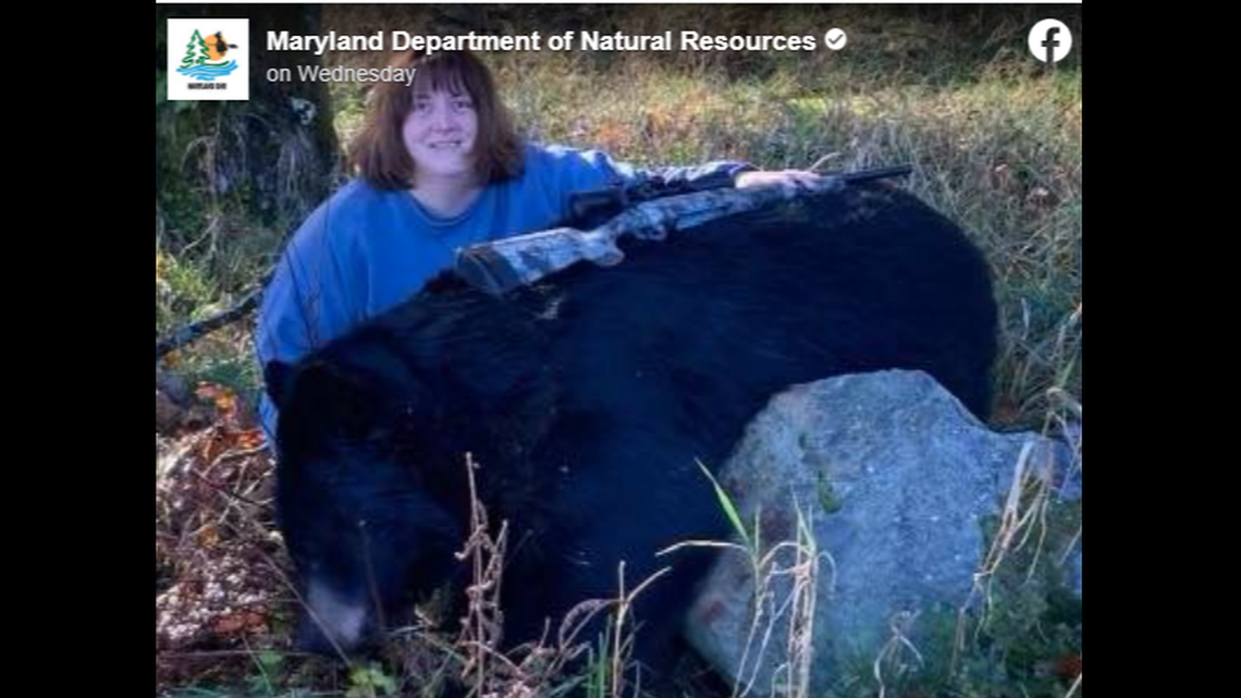 A woman’s harvested black bear broke the state record for heaviest bear hunted during bear season, according to the Maryland Department of Natural Resources.