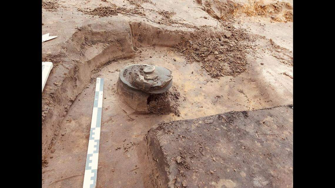 Experts said they were surprised by their findings.