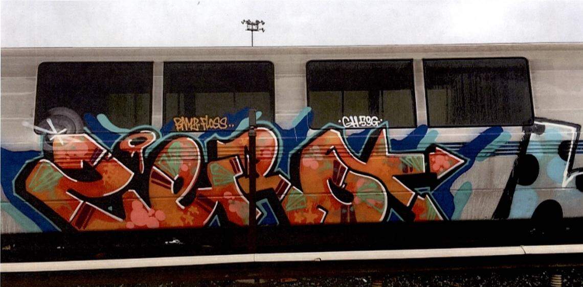 A train sprayed with graffiti pictured at a yard in Millbrae, south of San Francisco.