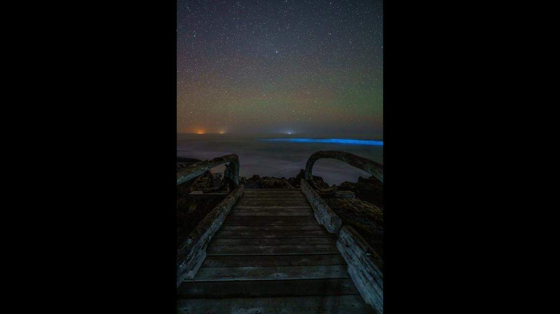 Eerie blue glow illuminates Washington coastline, photos show. What caused it?