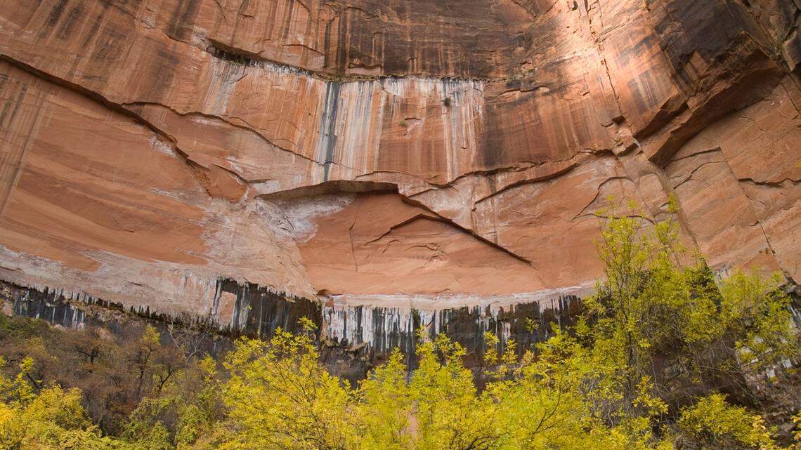 Autumnal leaves compliment the red sandstone and black desert varnish at the Upper Emerald Pool.