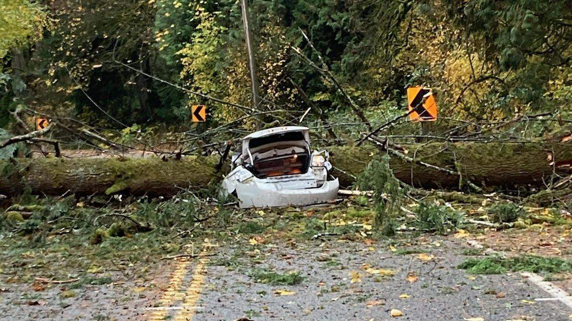 Two people are dead after a tree fell onto a car Sunday and crushed it, Washington officials said. Aggressive winds from a storm made the tree tumble.