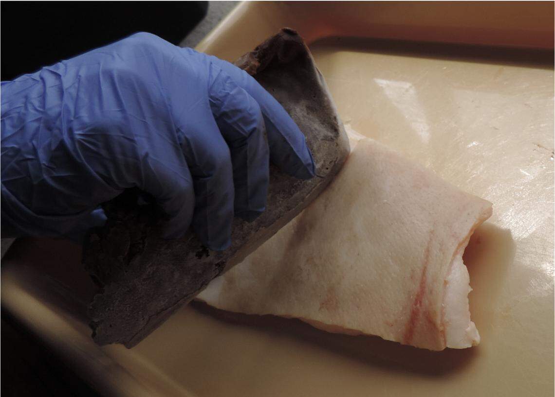 A frozen knife fails to cut into pig hide.