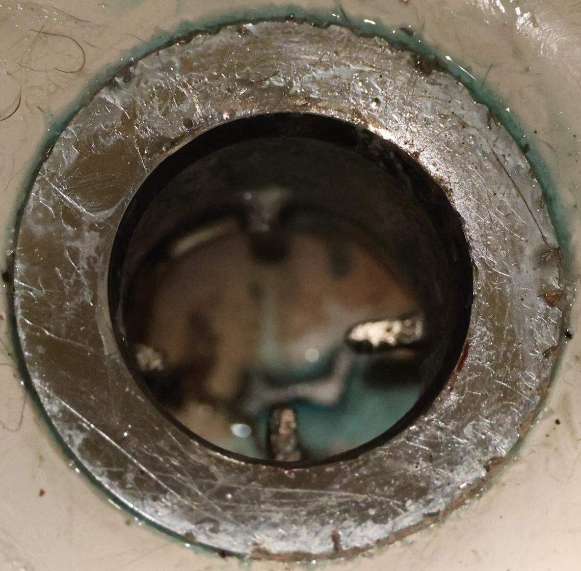 Multiple crews in Indiana were called to help rescue a dog after his paw got stuck in a bathtub drain.