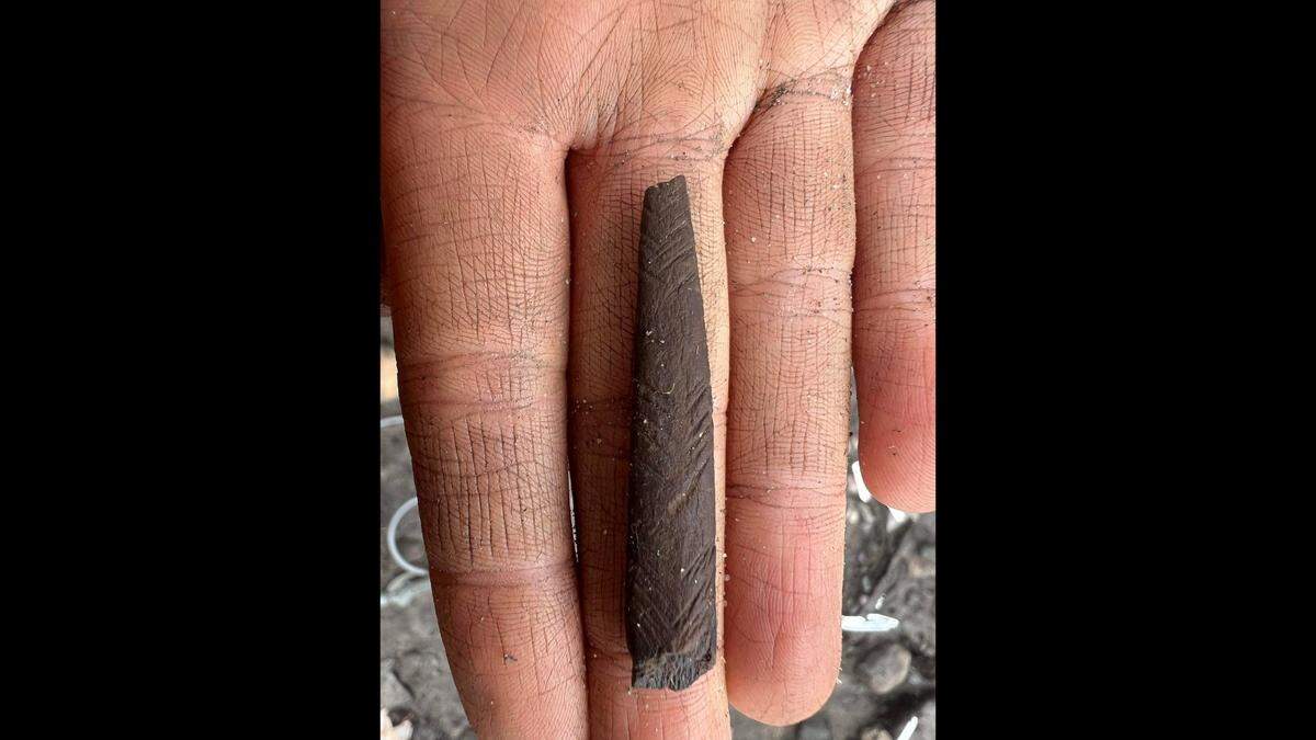 The team unearthed rare traces of woodworking and decorated antlers and tools.