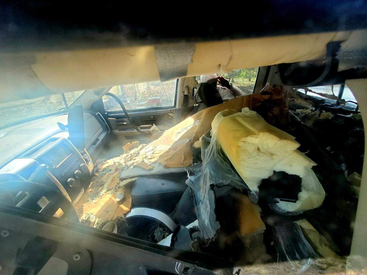 A bear got into a truck in South Park, Colorado, and caused “extensive damage,” wildlife officials said.