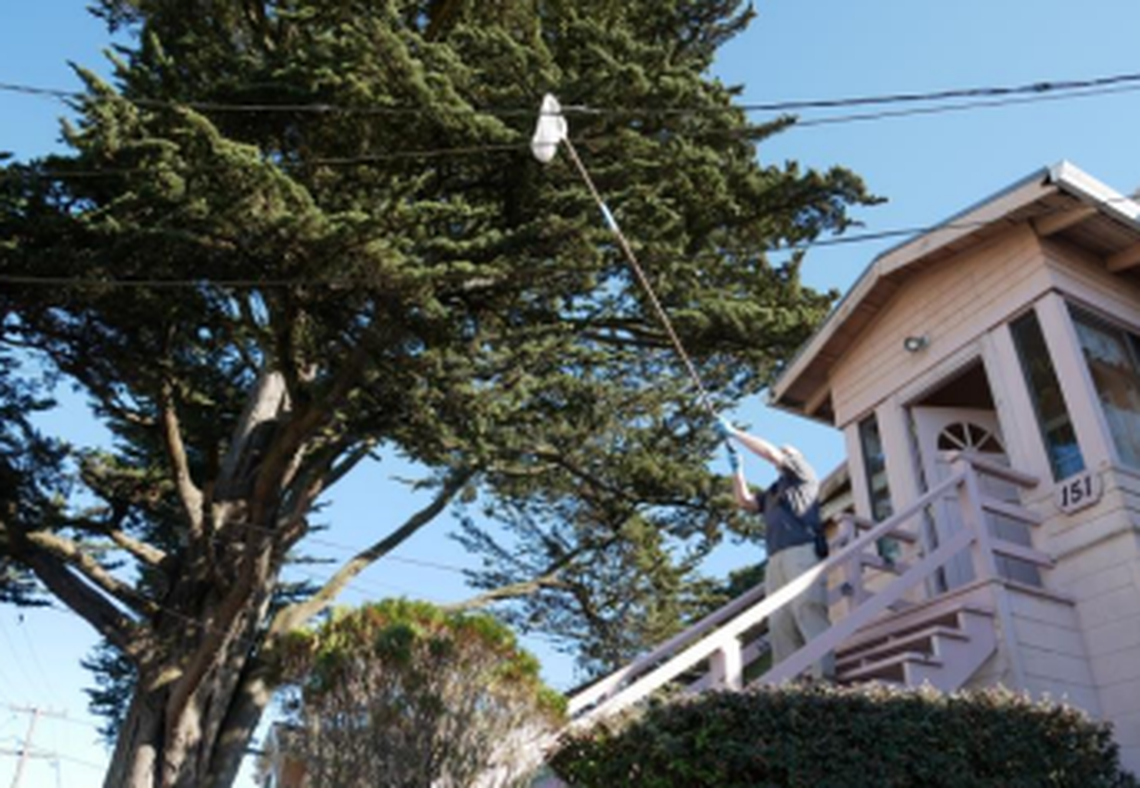 A California woman looked out window to find a chameleon trapped on a power line wire for three days outside of her window, the Peninsula Humane Society said.