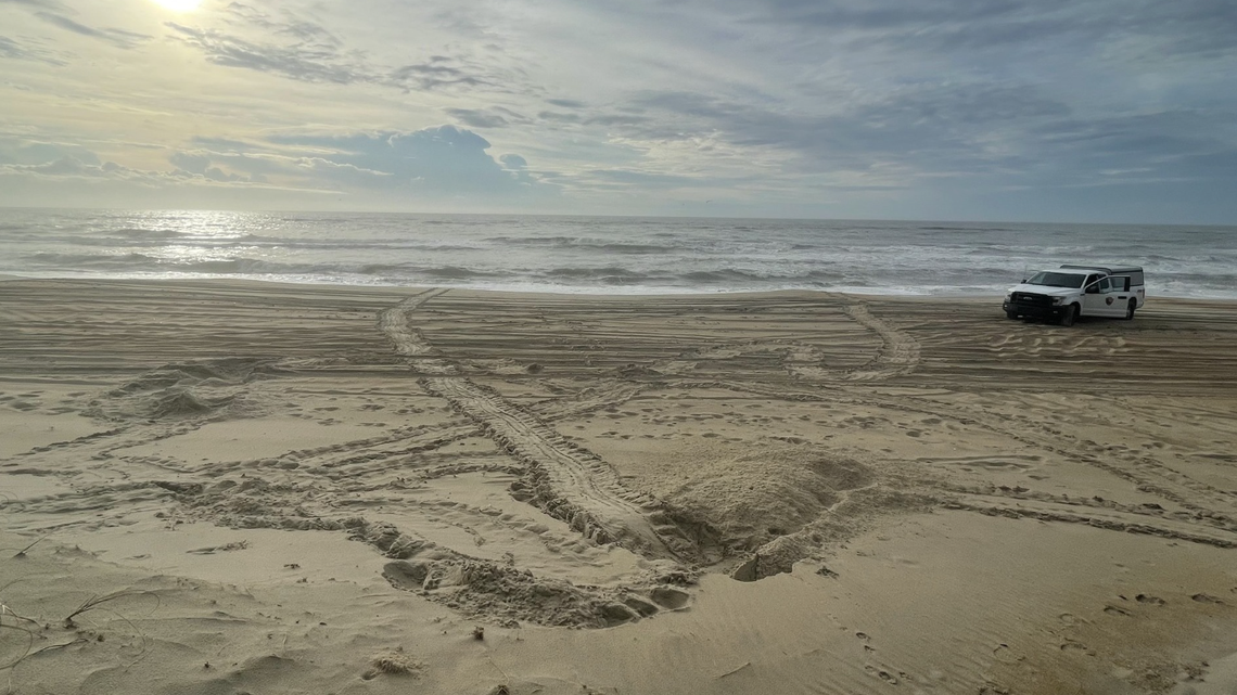 The rare animal’s nest was the latest one recorded in North Carolina, wildlife officials said.