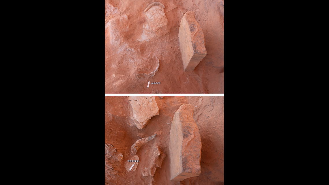 Most of the horns in the chamber were near the middle, largest stone, experts said.