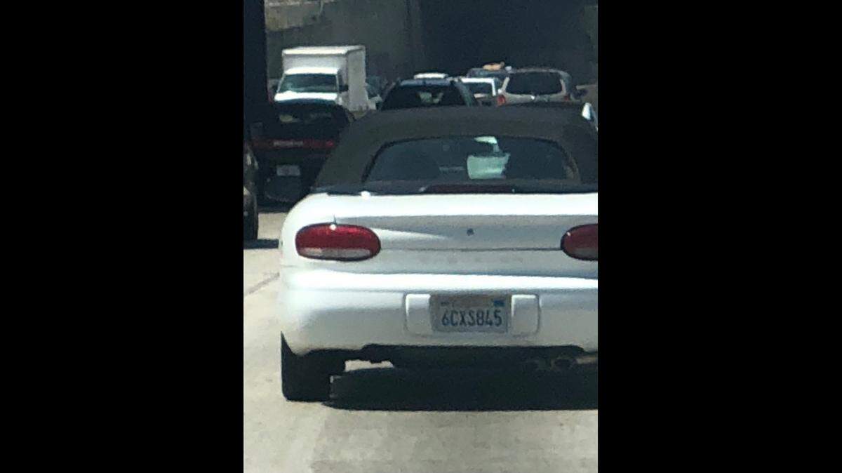 A convertible that appeared to have four women inside threw a small dog into traffic on the 101 freeway in Los Angeles, California, according to the Society for the Prevention of Cruelty to Animals.