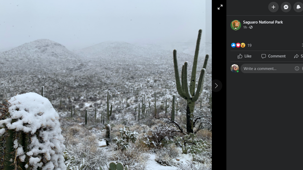 A rare desert snow covered Saguaro National Park in Arizona, photos show.