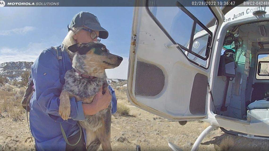 Diane Brown and her dog Annie were rescued from New Mexico wilderness.