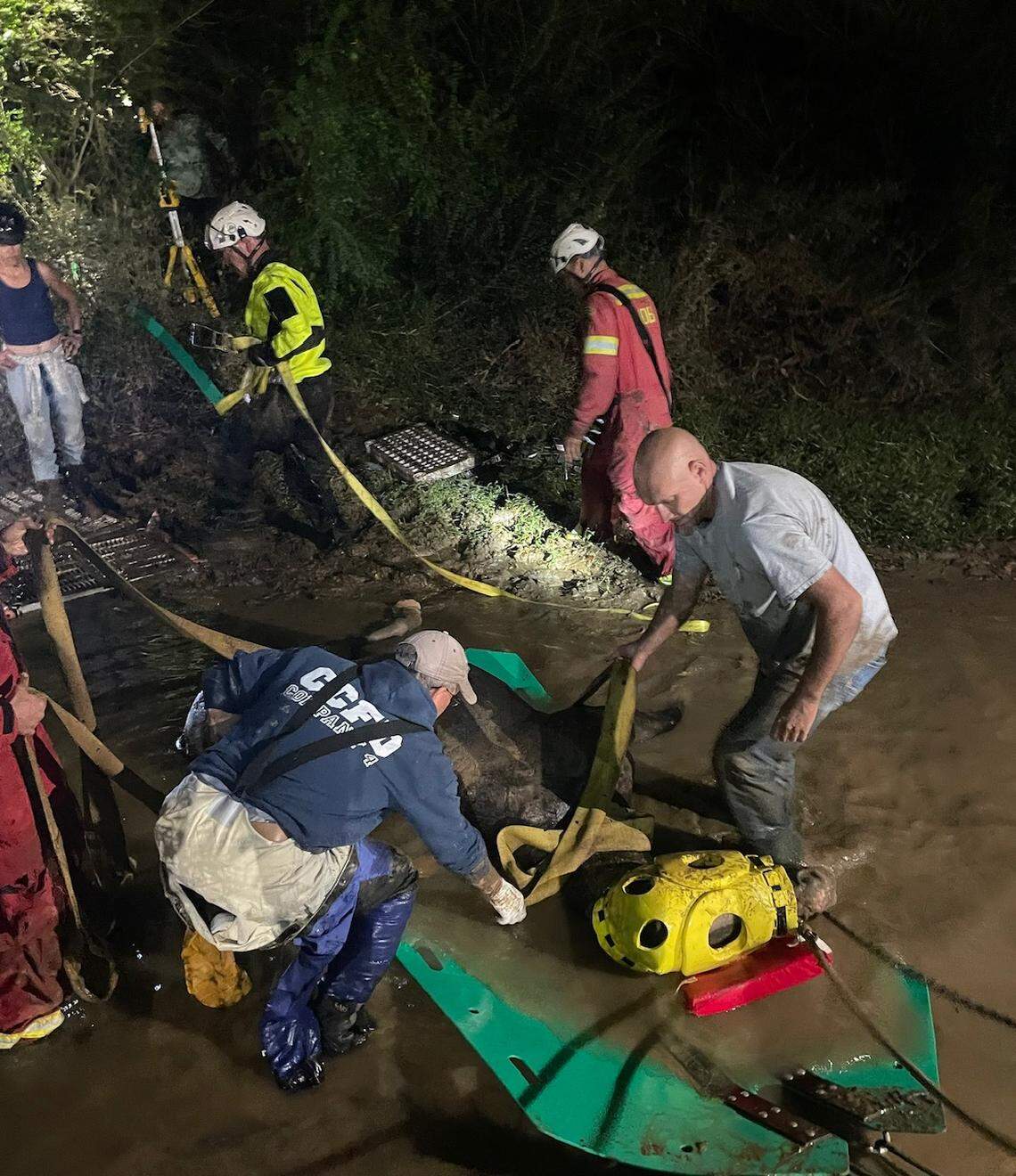 The rescue took a few hours for responders, according to Large Animal Response Group.