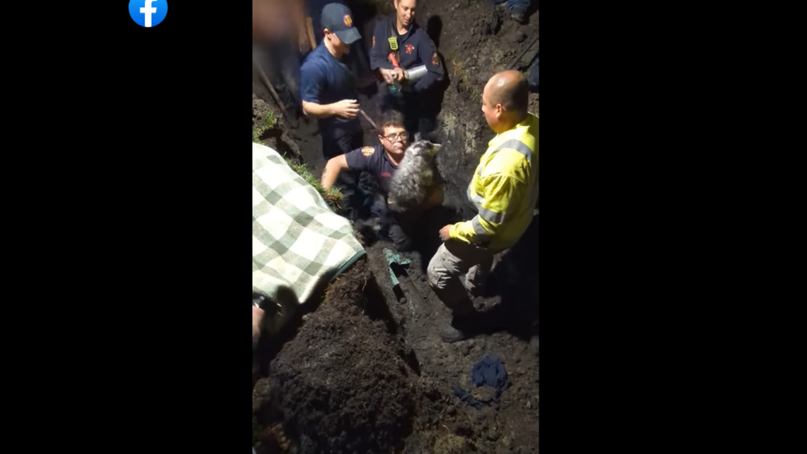 Video shows rescuers carefully extracting a dog from an underground storm sewer pipe in North Dakota.