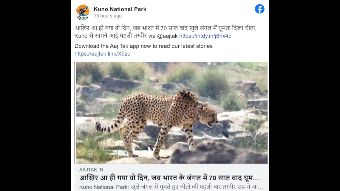 A wild cheetah was spotted for the first time in 70 years in India, officials said.