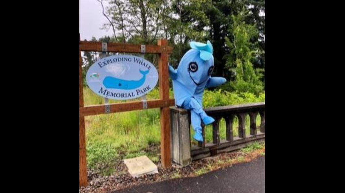 Nearly 50 years ago, Oregon blew up a dead whale that washed ashore. Now, residents in Florence, Oregon, have decided to commemorate the event with the opening of Exploding Whale Memorial Park.