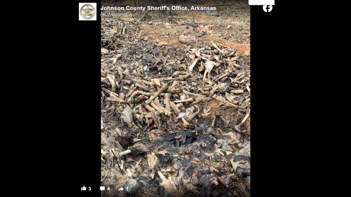 Bones were among the remains discovered on the property.