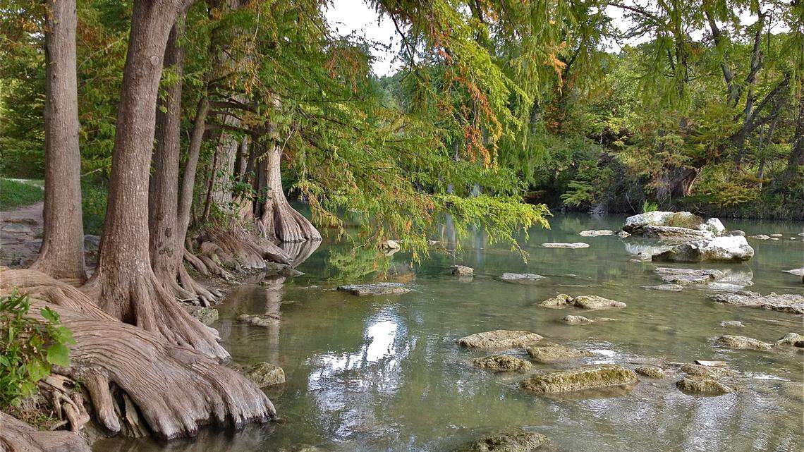 A 12-year-old boy drowned in the Guadalupe River in Texas while swimming with a church group, officials say.