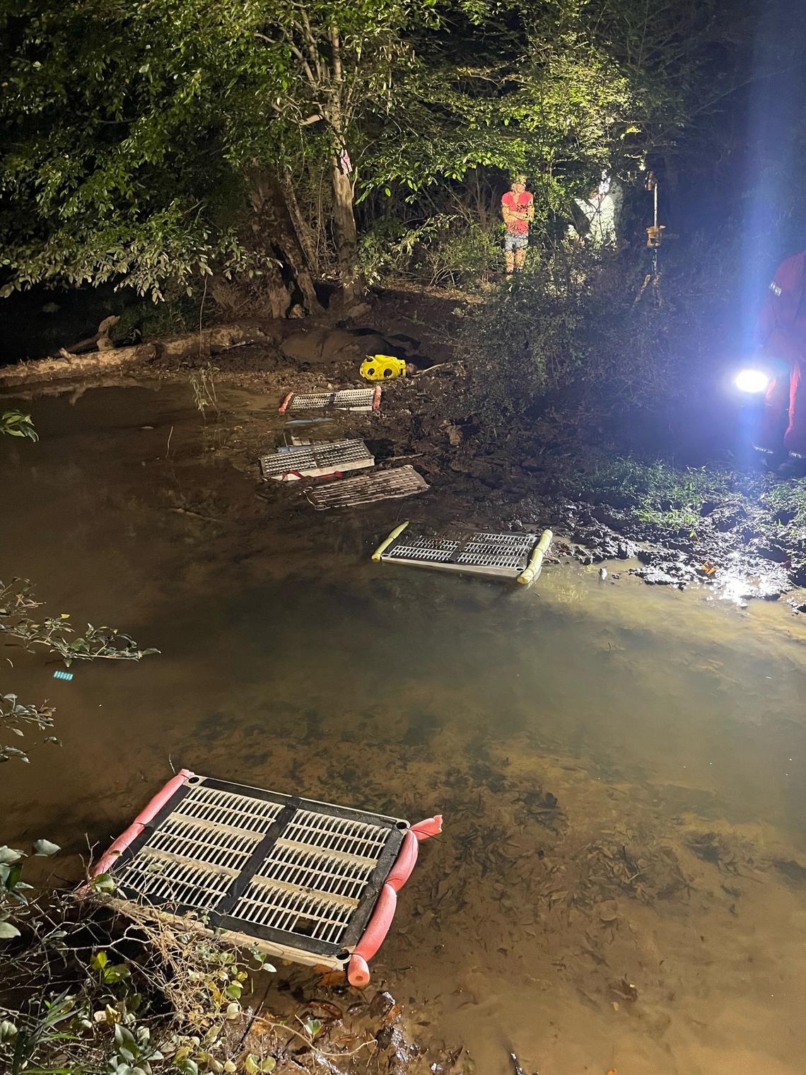 Both the Cobb County Fire & Emergency Services and Large Animal Response Group pulled the mare out of the Georgia creek.