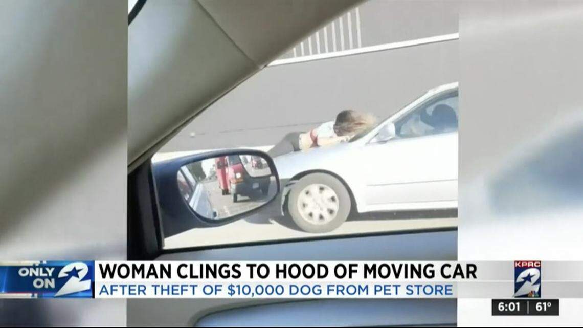 Alize James, who’s an employee at the Bully Kamp pet store in Houston, Texas, clung to a speeding car as robbery suspects stole a $10,000 dog, authorities say. Screengrab from KPRC.