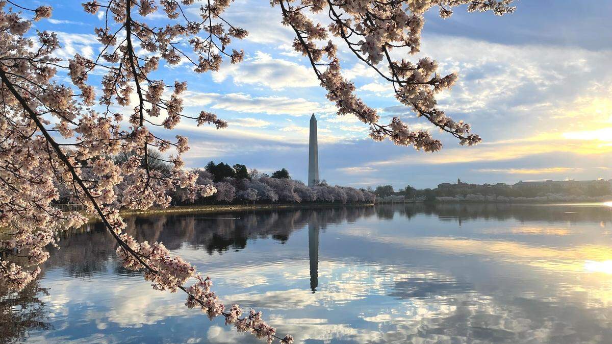 Nearly half of a group of 112 eighth-graders tested positive for COVID-19 after a field trip to Washington, D.C.