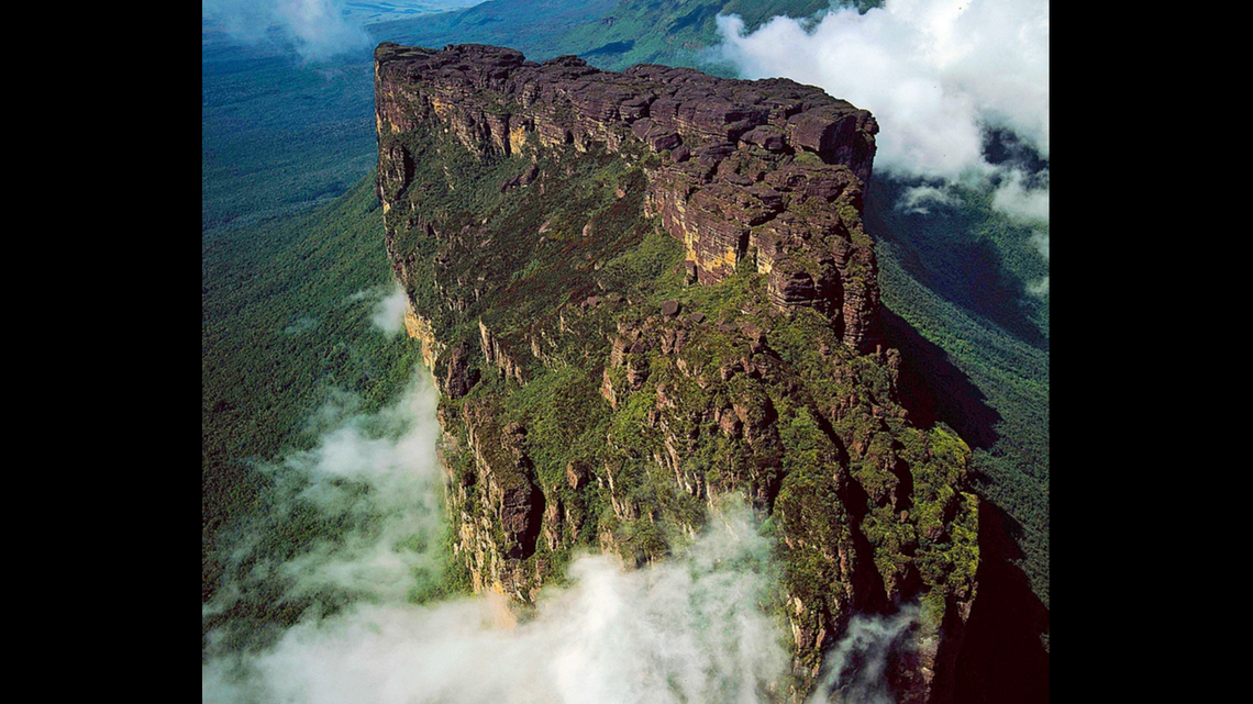 The rare creature was found in the remote Pantepui cloud forest, scientists said.