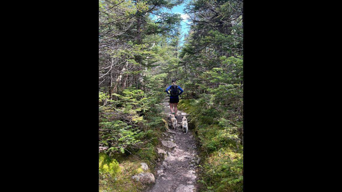 Woof walks the entire hike on his own, only being carried over water or across gaps in the rocks that are too big.