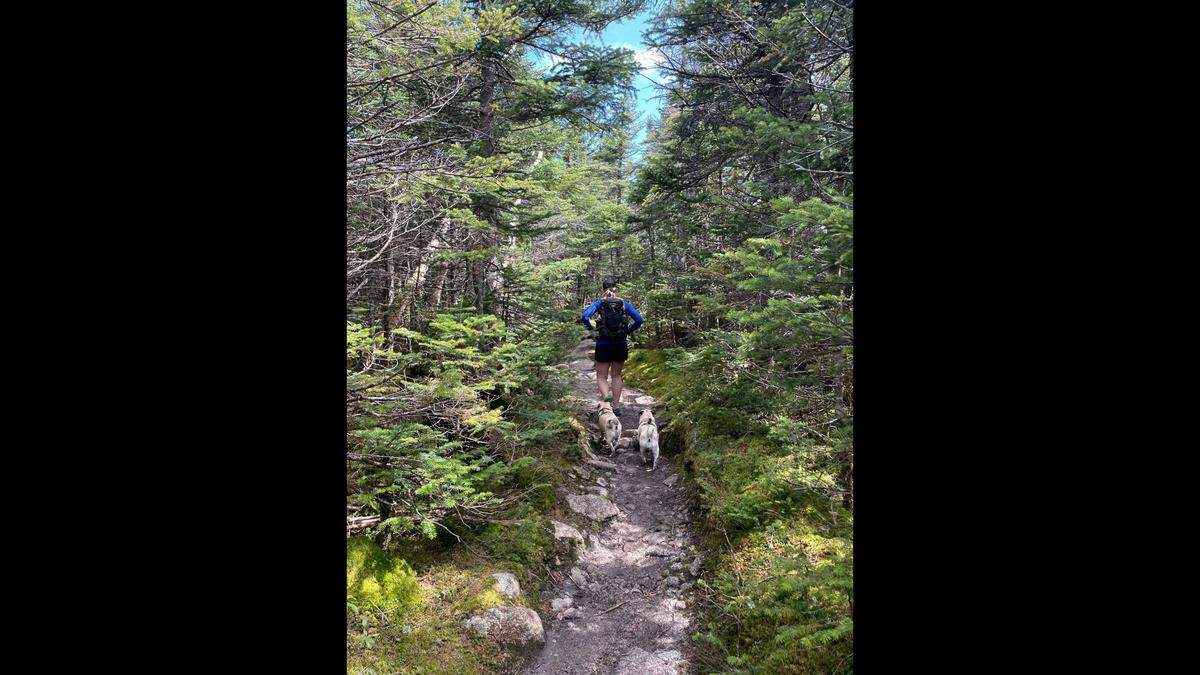 Woof walks the entire hike on his own, only being carried over water or across gaps in the rocks that are too big.