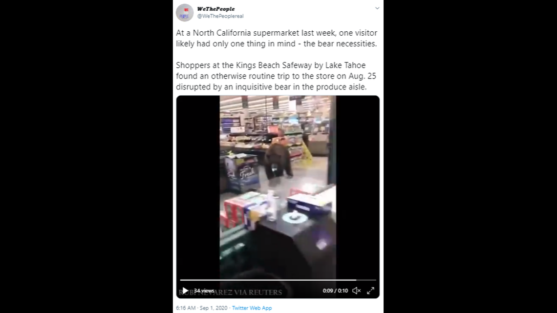 Hungry bears caught on video ransacking grocery stores in this California town