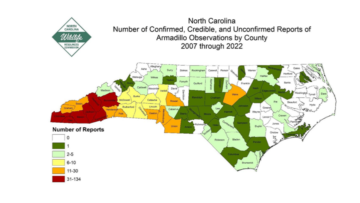 Nine-banded armadillos have spread throughout North Carolina for more than a decade.