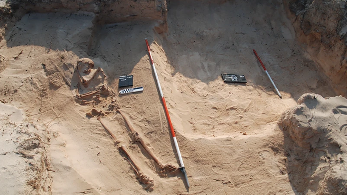 Nesting birds unearthed teeth and other bones on an island off the coast of Australia, leading researchers to discover the remains of 12 survivors of a 1629 shipwreck, according to a new study.