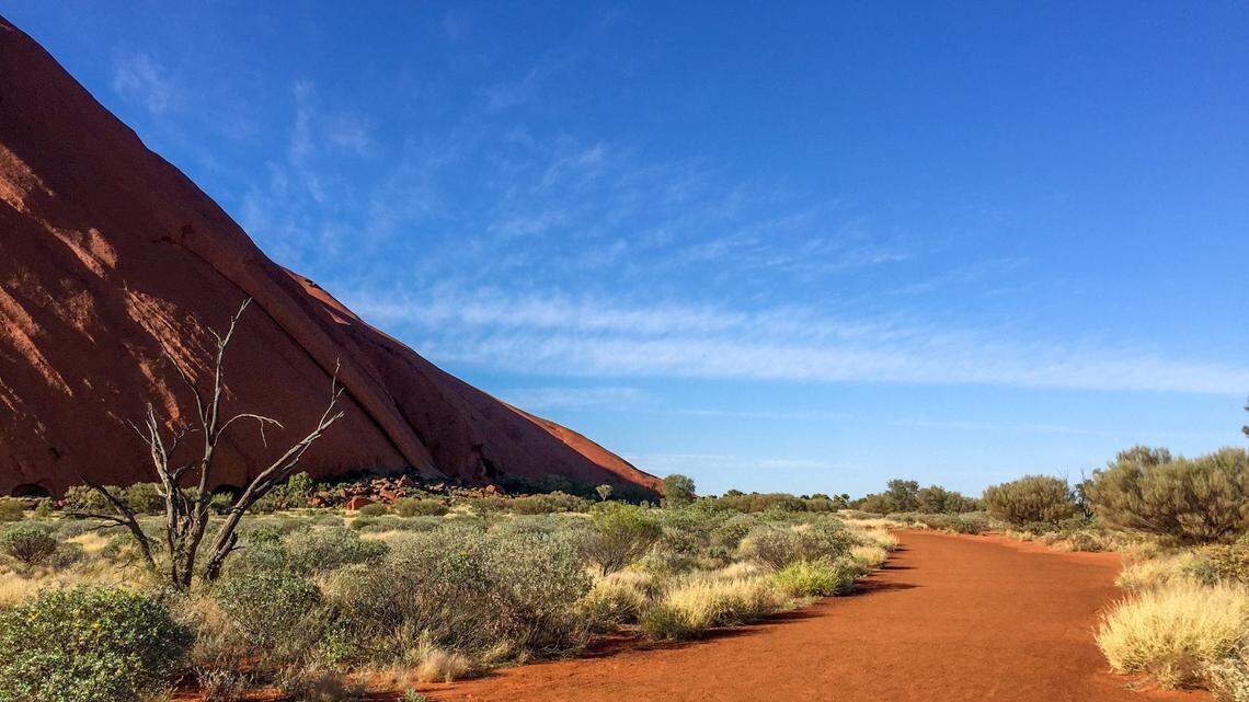 A new species of spider was found living 100 feet underground in Australia, according to a new study.