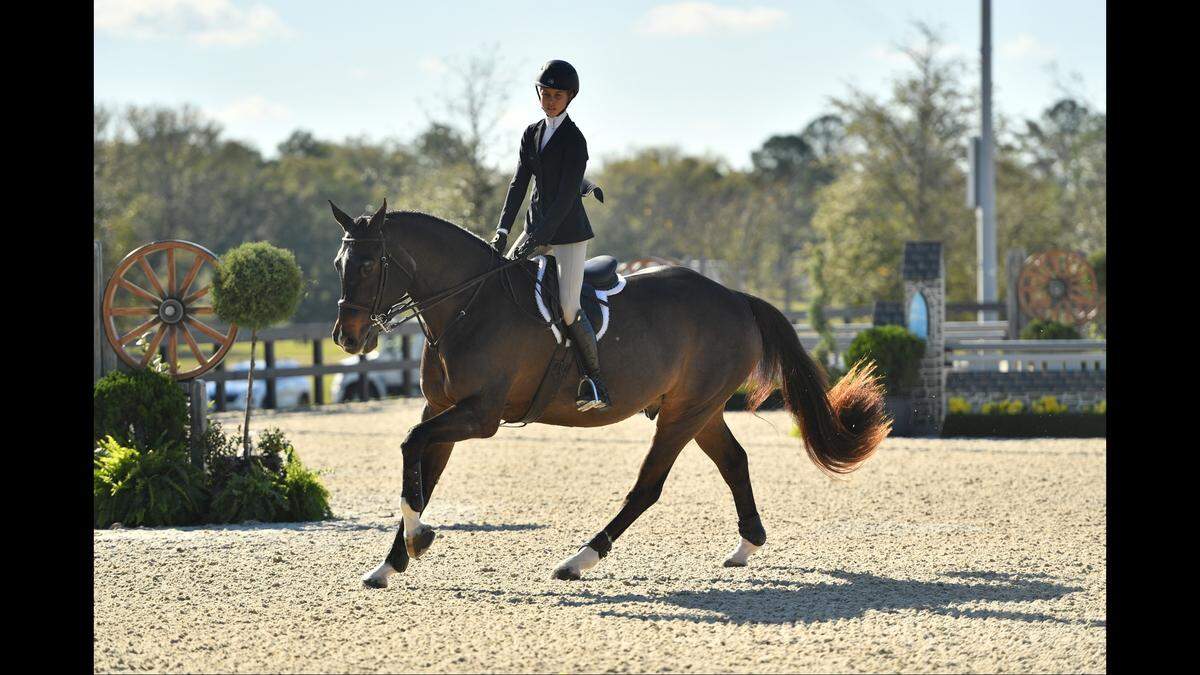 Serfass was a “kind, talented, hard working, dedicated rising star,” members of the equestrian community said.