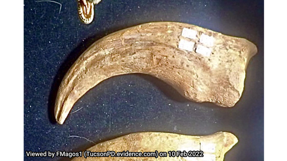 A $25,000 dinosaur claw was stolen in Arizona, police said.