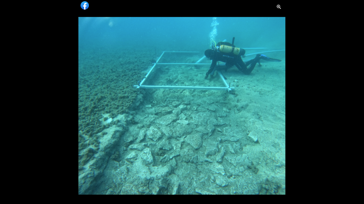 The road was made of stone plates stacked on one another, the researchers said.