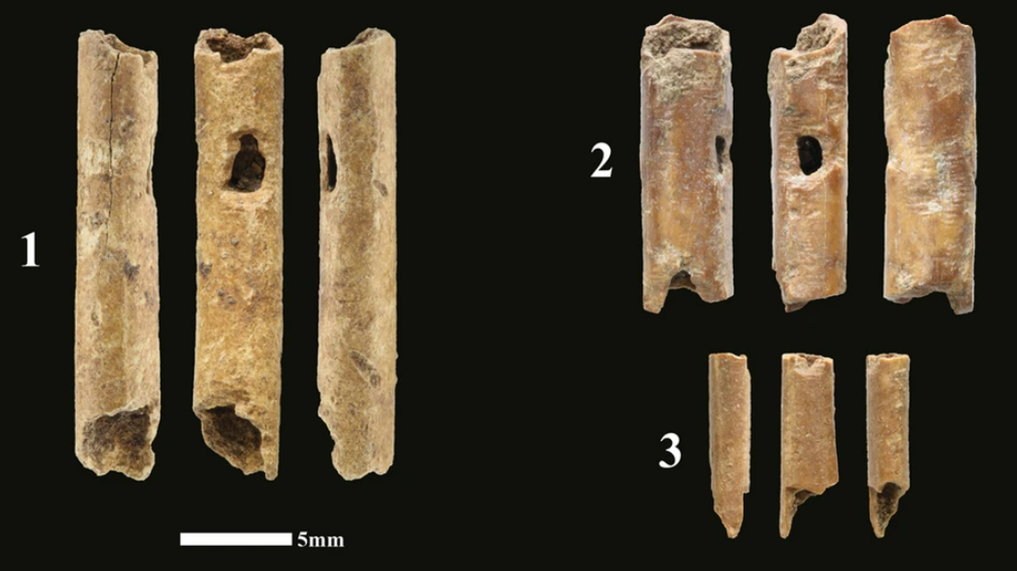 12,000-year-old bone flutes discovered in Israel may have been used by hunters to lure prey, according to a new study.