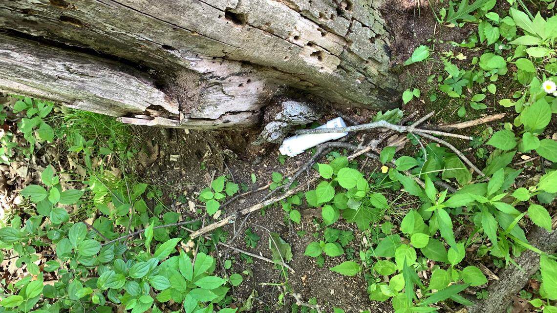 A woman could be charged after she hid pipes in Regner Park in West Bend, Wisconsin, forcing a bomb squad to clear the area, police say. Photo from West Bend Police Department.