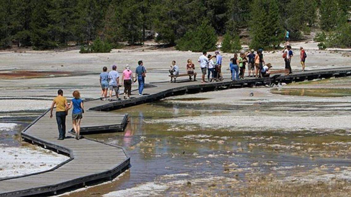 Boardwalks wind through the Norris Geyser Basin for safely viewing hydrothermal features.