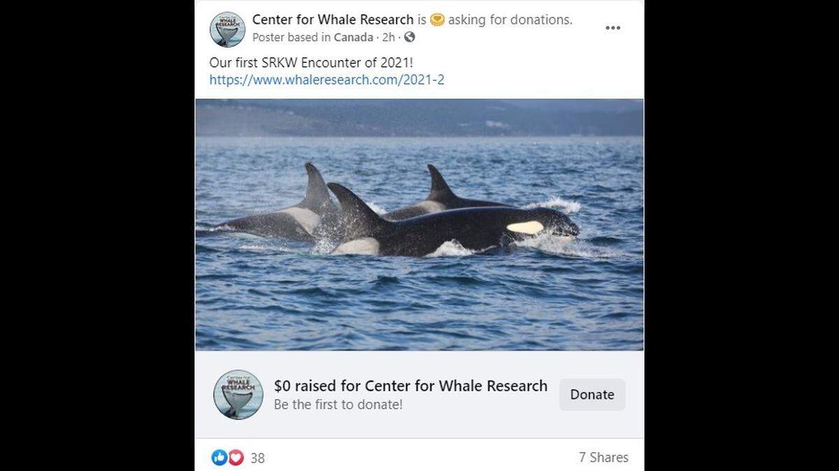 Officials with the Center for Whale Research spotted a group of southern resident killer whales off the coast of Victoria, B.C. It’s the second sighting of 2021.
